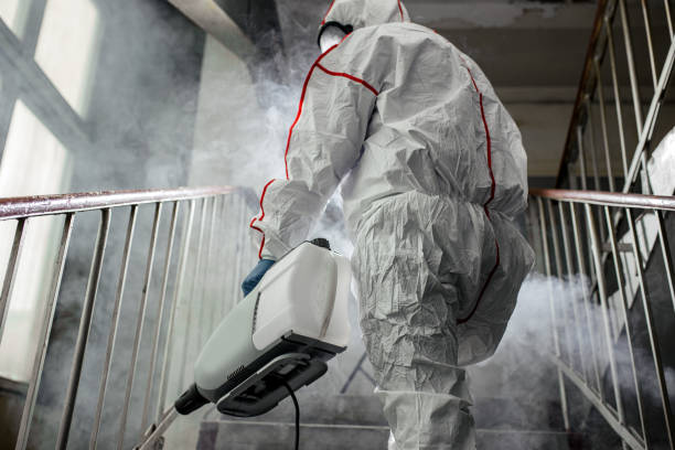 Best HVAC Mold Inspection and Cleaning  in Wolfforth, TX